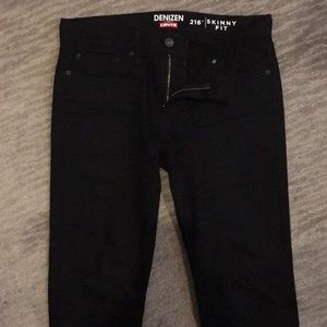 Levi denizen black jeans Clearance